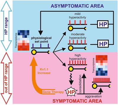 Homeostatic Plasticity in Epilepsy